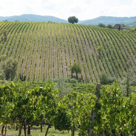 Il Terrazzo